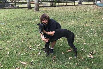 Greyhound's new lease of life after rare hip replacement