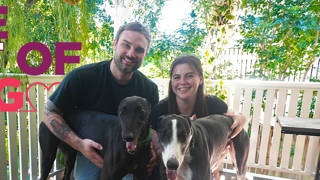 Retired greyhounds Piston and Lenny proving opposites attract
