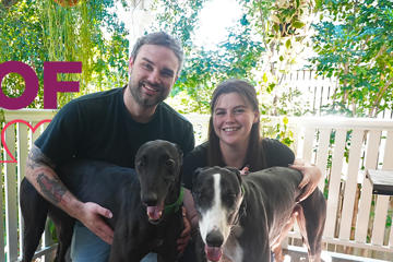 Retired greyhounds Piston and Lenny proving opposites attract