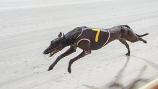 Aston Missile to fire in Ipswich Derby