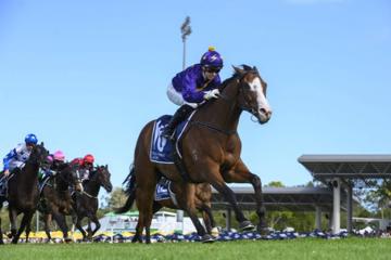 Mooloolaba Cup Day