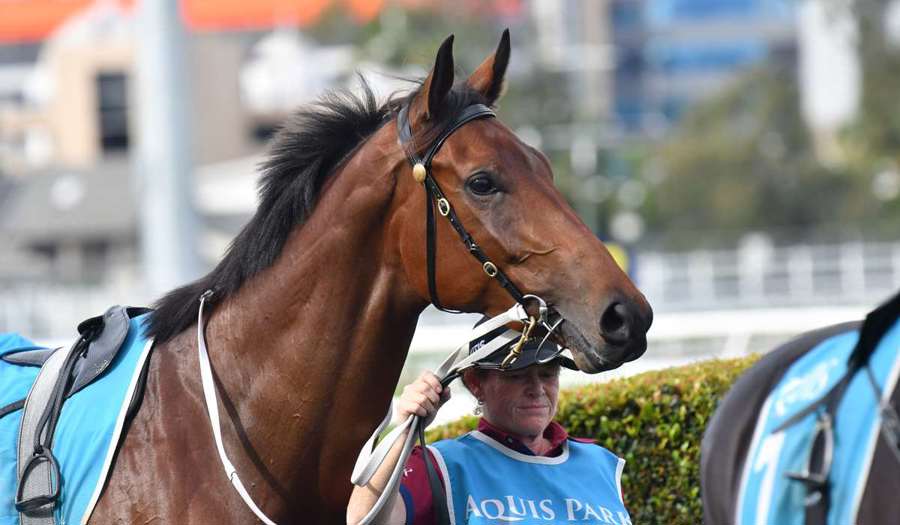 Oaks runner headlines Bruce's carnival assault