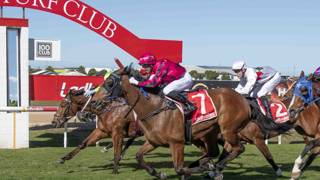 First training win gives McFarlane early reward