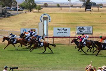 Clifton Cup