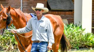 Bush wizard Ryan plots another Mount Garnet raid