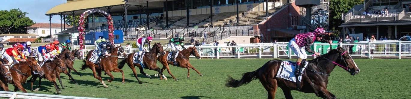 Regional Racing Qld Search :: Racing Queensland