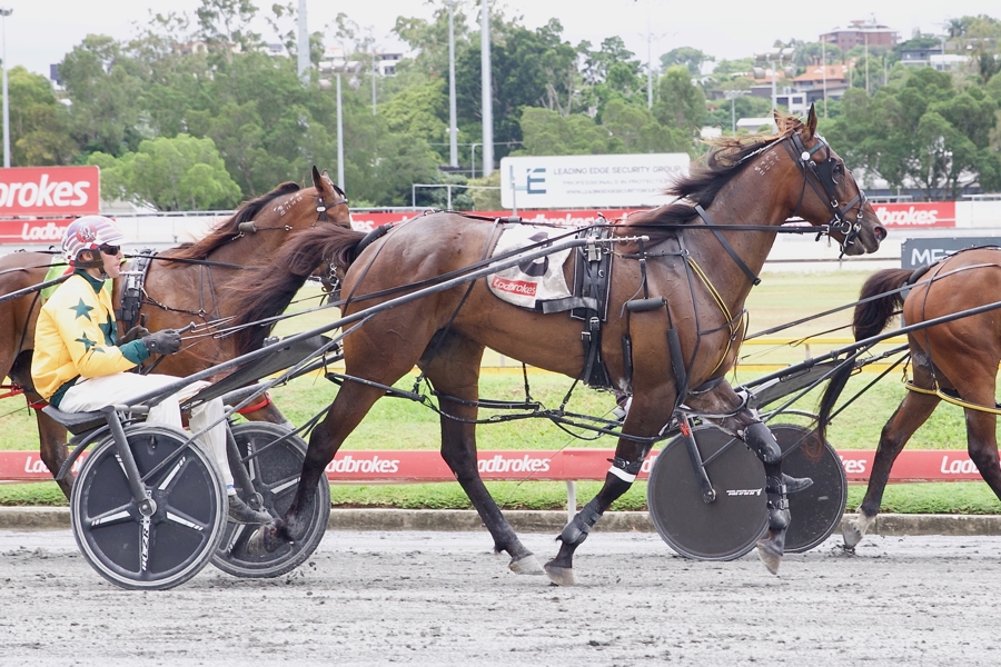 Nathan Dawson after driving Ideal Desire to victory
