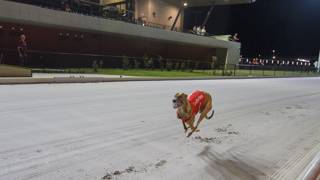 Vista Weird chases Brisbane Cup berth