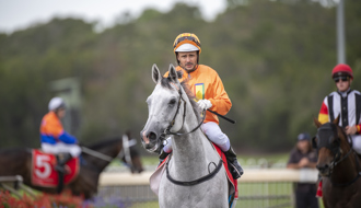 Retired horses travelled as much as TV legends the Leyland Brothers