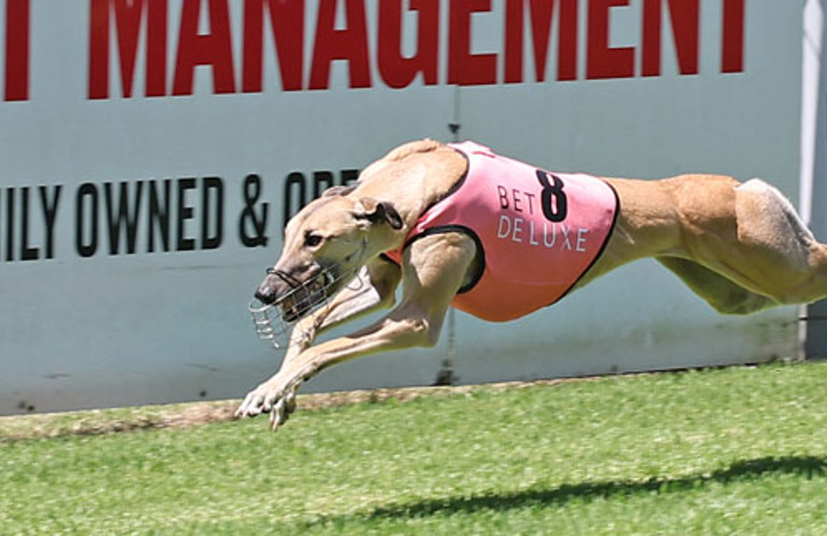 Move It Georgia Matthew Slater