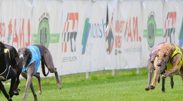 Four Implementation Methods Mad Methods :: Racing Queensland