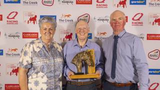 Focus on Dan Costello for special harness racing honour