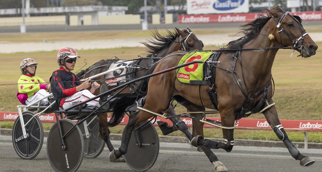 Top reinsman Jack Chapple and pacer Rocky Leigh.