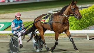 Oli's Oil - April 22 @ Redcliffe