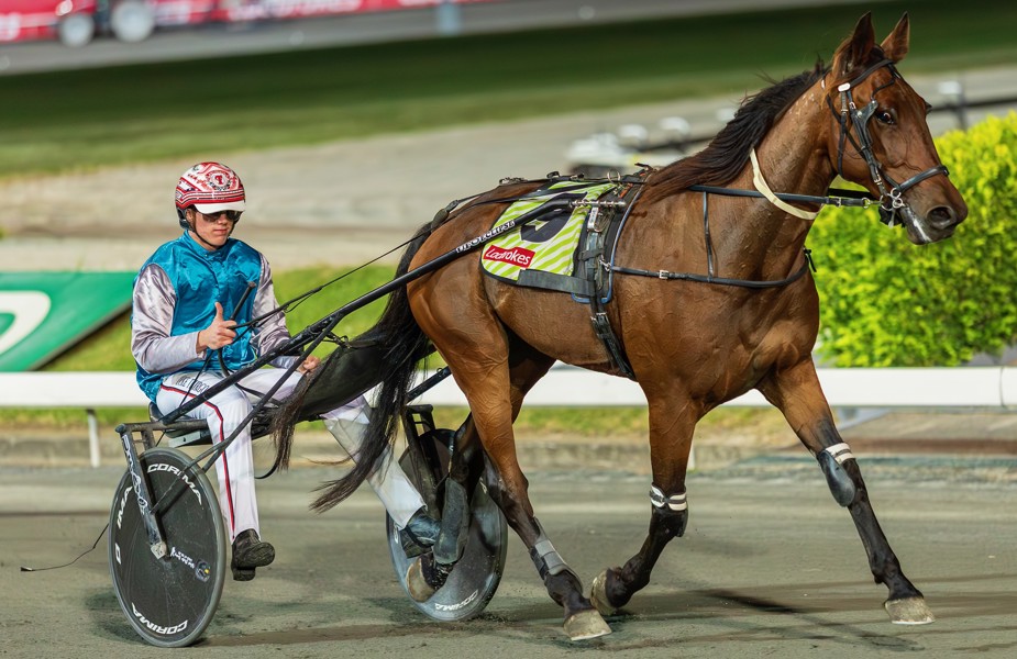 Teenager reinsman Luke Thirgood