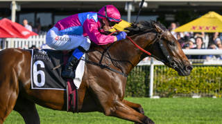 Vandyke looks to Australian Cup with Philia