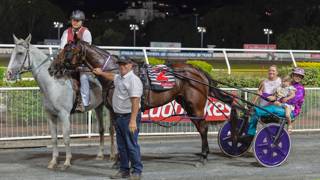 Dashman's Dashboard - April 4 @ Albion Park