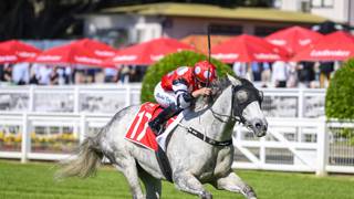 Cavalry Man in with Ipswich Cup shout