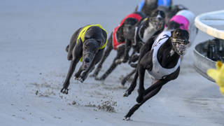 Nangar pair ready for Silver Dollars test