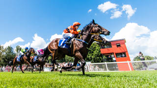 Shohei Kaya's returning winning tonic