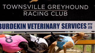 Advika is keeping her record in line