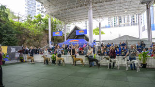 Entries open for RQ Greyhound Sweepstakes