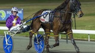 The Dashboard - October 17 @ Albion Park