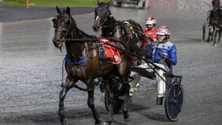 Oli's Oil - February 11 @ Redcliffe