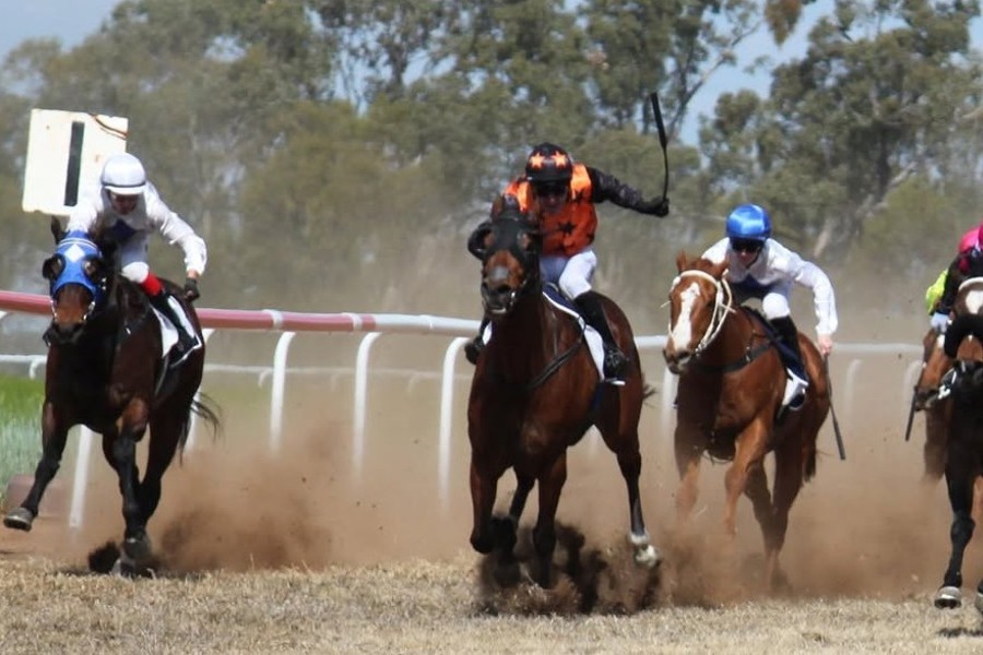 Paul Hamblin riding Gandalf to victory. Pictures: Warra Race Club.