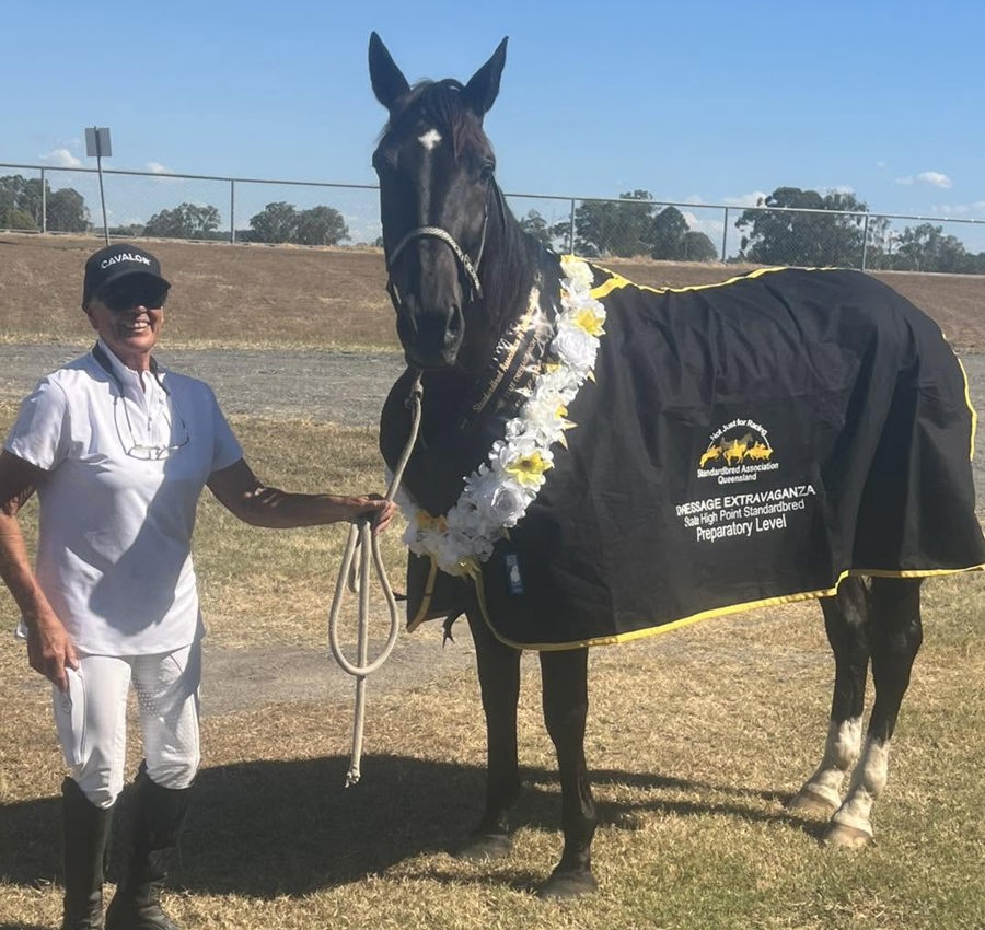 Canti R Racking Dressage arena success music to the ears of new owner :: Racing Queensland