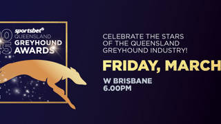 Daysea’s Rory claims Greyhound of the Year title