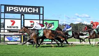 Call Da Vinci chasing Winx glory