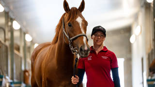 Steph Tierney’s metro dream in sight