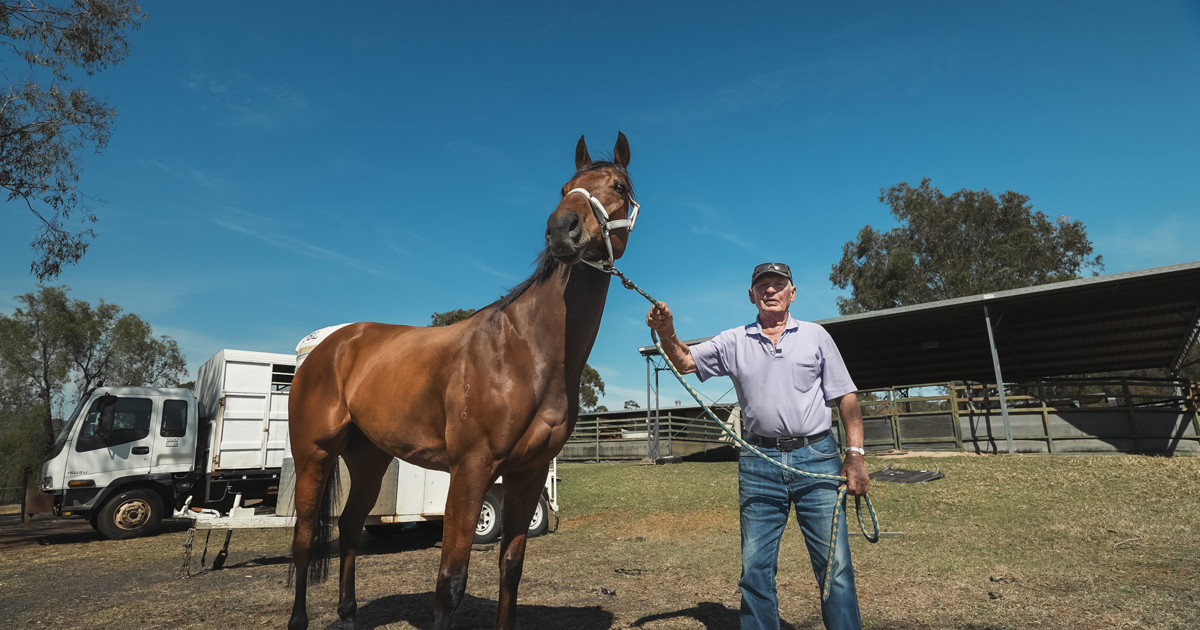 Mark Goodwin Actor Mark Goodwin shows no signs of slowing down :: Racing Queensland