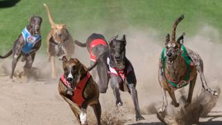 Sir Barefoot heads back to Capalaba