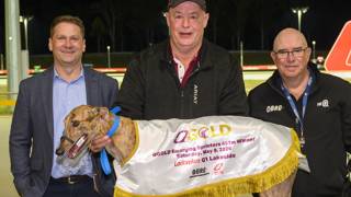 Emerging star Backcreek Butch shines