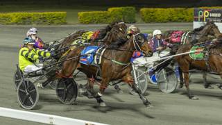 Chapple’s Queensland stint off to a flying start