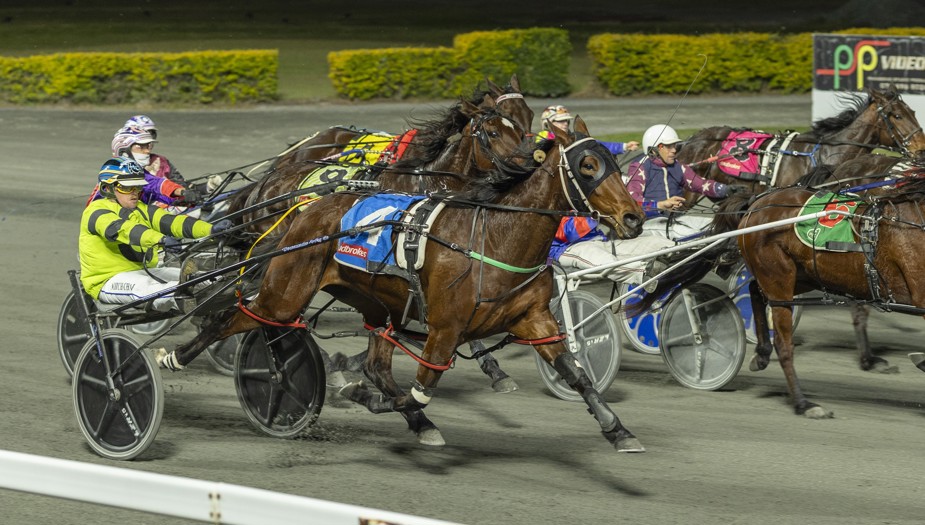 Chapple’s Queensland stint off to a flying start