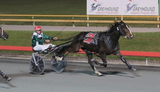Psychedelic's off-the-track trip to Albion Park
