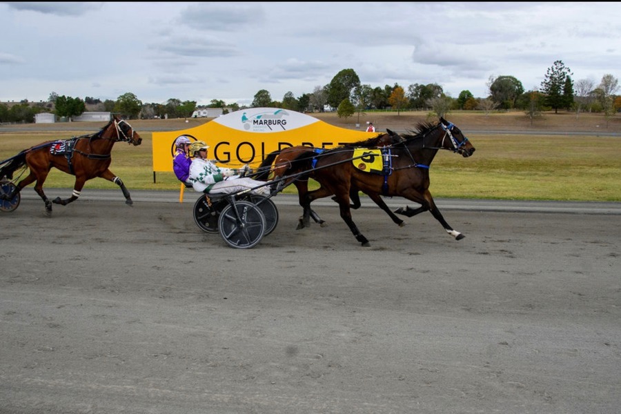 the Tayla Gillespie-prepared Whirlwind Wilbur scoring a memorable victory.