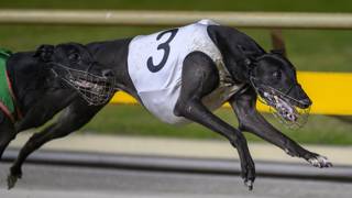 Ayden’s Warrior in peak condition for Queensland Cup