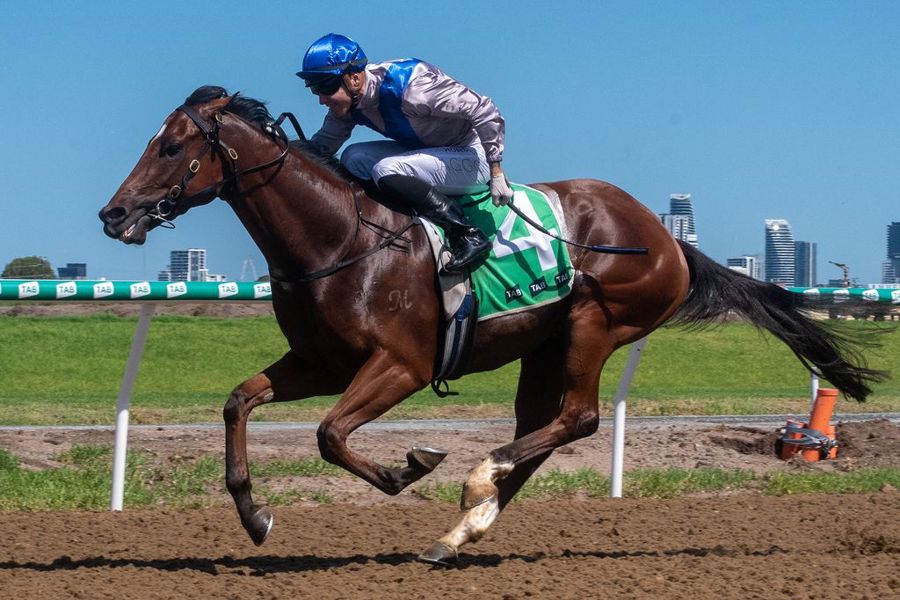 Jai Williams ready for Jag challenge in the ring :: Racing Queensland