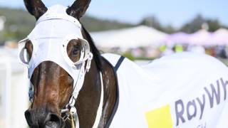 Quothquan starts Crowns chase