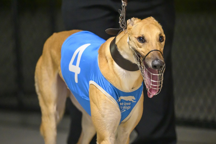 Cody's Star Travis Elson