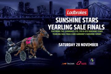 Sunshine Stars Yearling Sale Finals