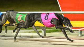 Evans hopes for slower start for hard-finishing Prada