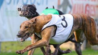 Nationals part of Capalaba Cup plan for Big Al’s