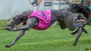 The Pledger brings Galaxy back to life at Capalaba