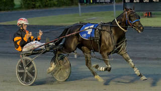 Redcliffe record mare eyes retirement