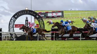 Monarch to reign supreme